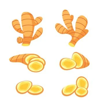 Set fresh Ginger root. Vegan food on white background Stock Illustration
