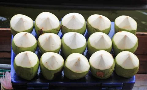Set of Fresh Green Coconuts Stock Photos