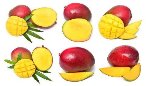 Set of fresh mango fruit slices, half and cubes isolated on white backgroun.. Stock Photos