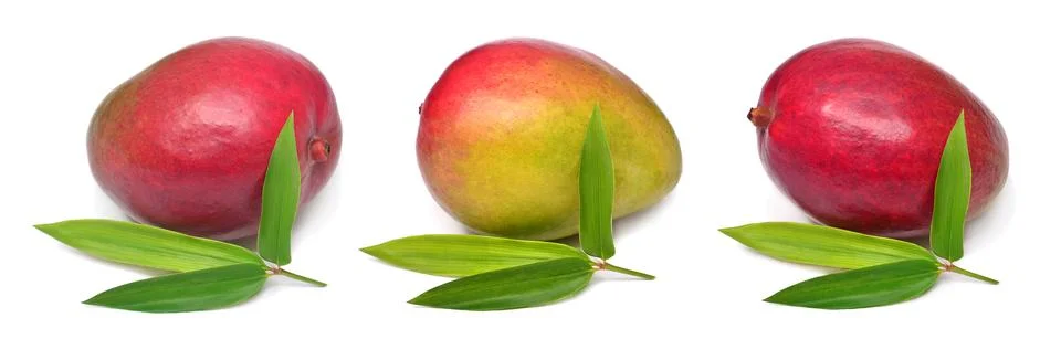 Set fresh one mango fruit with leaves isolated on white background. Flat la.. Stock Photos