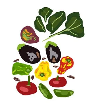 Set of fresh raw vegetables. Stock Illustration