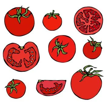 Set of Fresh Red Tomatoes. Half of Tomato, Slice of Tomato, Cherry Tomato Stock Illustration
