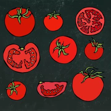 Set of Fresh Red Tomatoes. Half of Tomato, Slice of Tomato, Cherry Tomato Stock Illustration