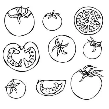 Set of Fresh Red Tomatoes. Half of Tomato, Slice of Tomato, Cherry Tomato Stock Illustration