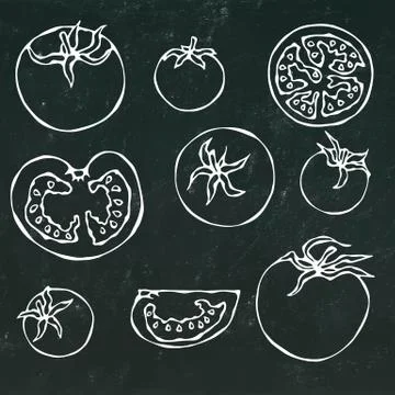 Set of Fresh Red Tomatoes. Half of Tomato, Slice of Tomato, Cherry Tomato Stock Illustration