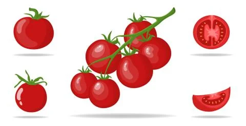 Set of Fresh Red Tomatoes isolated on white background. Vector illustration. Stock Illustration