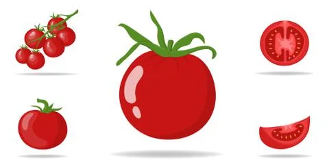 Set of Fresh Red Tomatoes isolated on white background. Vector illustration. Stock Illustration