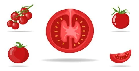 Set of Fresh Red Tomatoes isolated on white background. Vector illustration. Stock Illustration