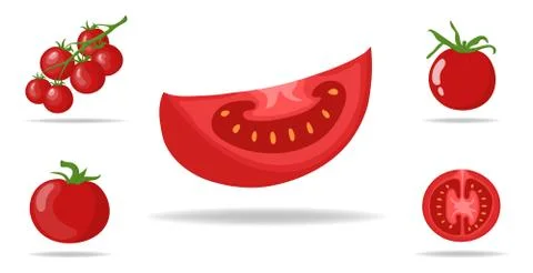 Set of Fresh Red Tomatoes isolated on white background. Vector illustration. Stock Illustration