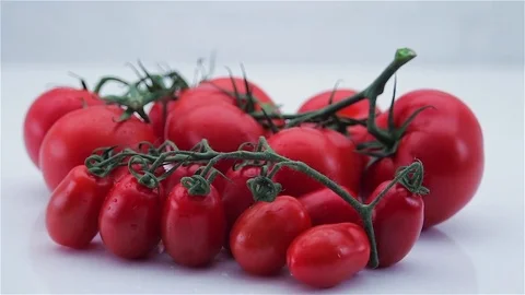 Set of fresh tomatoes Stock Footage 81162223