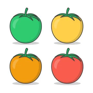 Set Of Fresh Tomatoes Vector Icon Illustration. Different Colored Tomatoes イラスト素材