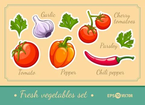 Set of fresh vegetables cherry tomato pepper garlic chili and parsley 스톡 일러스트