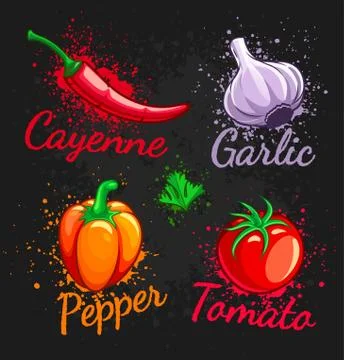 Set of fresh vegetables cherry tomato pepper garlic chili and parsley Stock Illustration