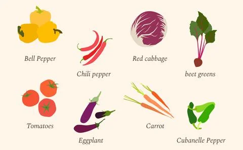 Set of fresh vegetables made in flat design. Tomatoes, eggplant, chili pepper Stock Illustration