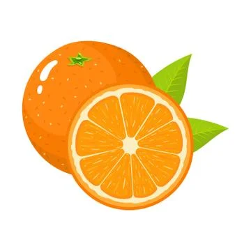Set of fresh whole and half orange fruit with leaves isolated on white. Vector. Stock Illustration