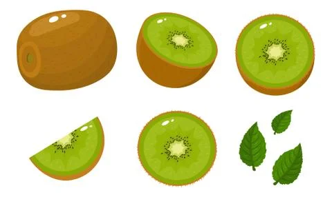 Set of fresh whole, half, cut slice and leaves kiwi fruit isolated on white b Stock Illustration