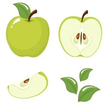Set of fresh whole, half, cut slice and leaves green apple fruit isolated on  Stock Illustration