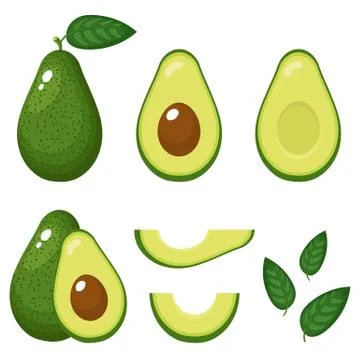Set of fresh whole, half, cut slice and leaves avocado isolated on white back Stock Illustration