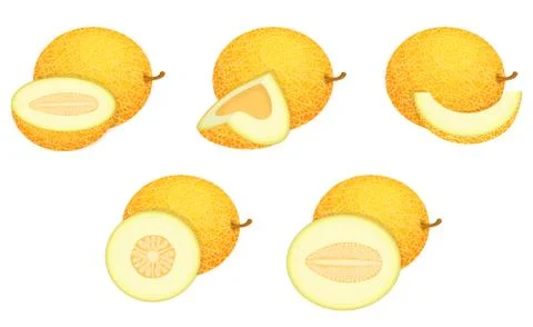 Set of fresh whole, half, cut slice melon fruit isolated on white background. Stock Illustration