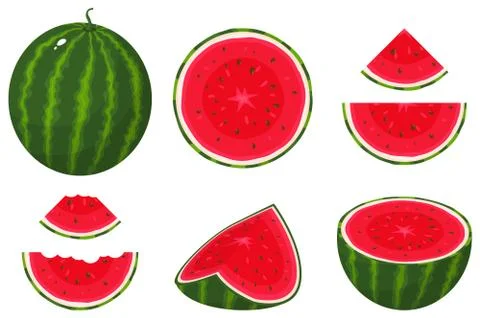 Set of fresh whole, half, cut slice watermelon fruit isolated on white backgr Stock Illustration