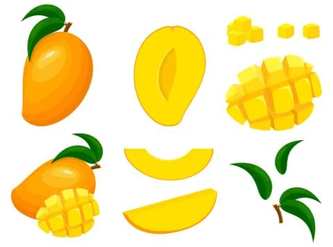 Set of fresh whole, half, cut slice mango fruits isolated on white background Stock Illustration
