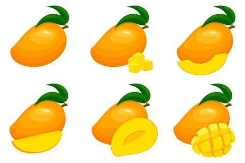 Set of fresh whole, half, cut slice mango fruits isolated on white background Stock Illustration