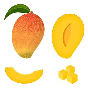 Set of fresh whole, half, cut slice mango fruits isolated on white background Stock Illustration