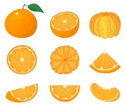 Set of fresh whole, half, cut slice tangerine or mandarin fruits isolated on  Stock Illustration