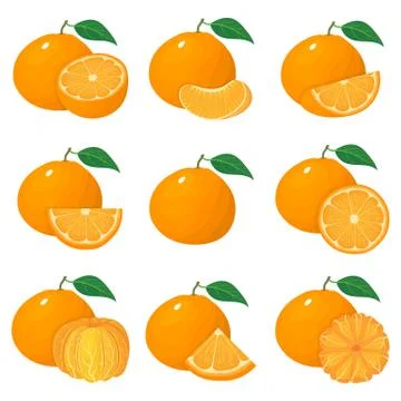 Set of fresh whole, half, cut slice tangerine or mandarin fruits isolated on  Stock Illustration
