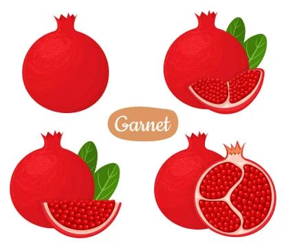 Set of fresh whole, half, cut slice pomegranate fruits isolated on white back Stock Illustration