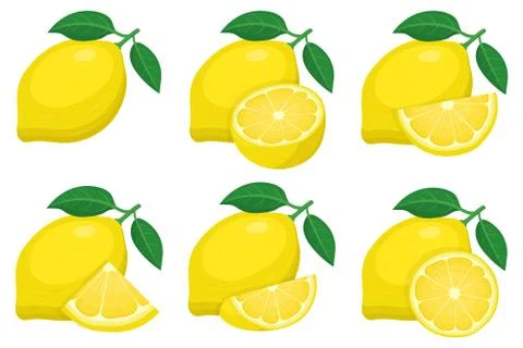 Set of fresh whole, half, cut slice lemon fruit groups isolated on white back Stock Illustration
