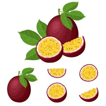 Set of fresh whole, half, cut slice passion fruits isolated on white backgrou Stock Illustration
