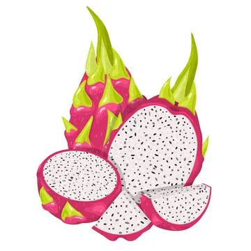 Set of fresh whole, half, cut slice red pitaya fruits isolated on white backg Stock Illustration