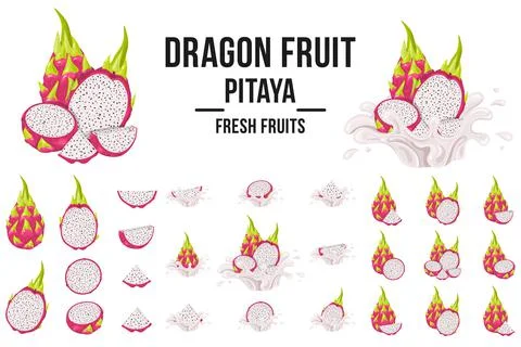 Set of fresh whole, half, cut slice red pitaya fruits isolated on white backg Illustrazione stock