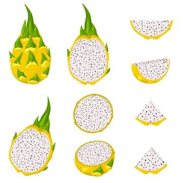 Set of fresh whole, half, cut slice yellow pitaya fruits isolated on white ba Illustrazione stock