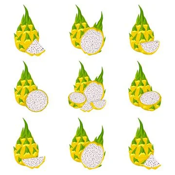 Set of fresh whole, half, cut slice yellow pitaya fruits isolated on white ba Stock Illustration