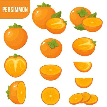 Set of fresh whole, half, cut slice persimmon fruits isolated on white backgr Stock Illustration