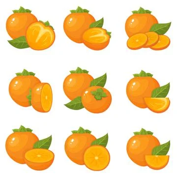 Set of fresh whole, half, cut slice persimmon fruits isolated on white backgr Stock Illustration