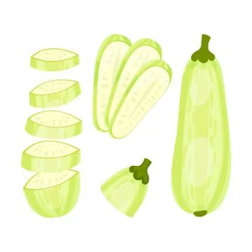 Set of fresh zucchini. Vector illustration on white background. Stock Illustration