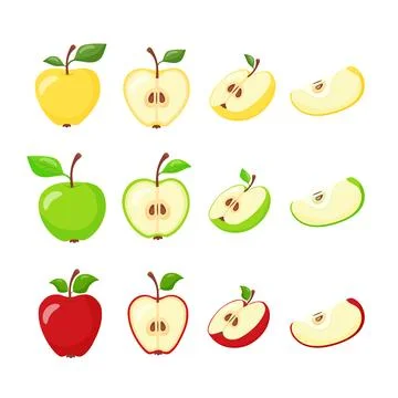 Set of fruit illustrations of apples green, yellow, red. Apples in section. Hand Stock Illustration