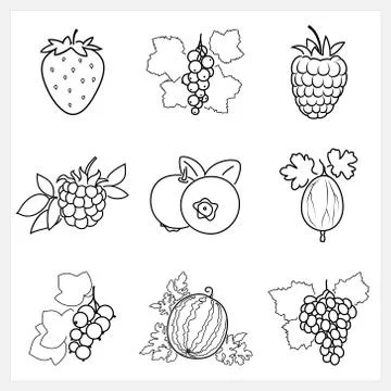 Set of Fruit Linear Icons Stock Illustration