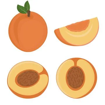 Set of Fruit peach halves with a stone, color isolated vector illustration Stock Illustration