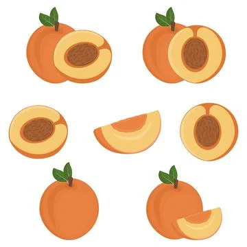 Set of Fruit peach halves with a stone, color isolated vector illustration Stock Illustration