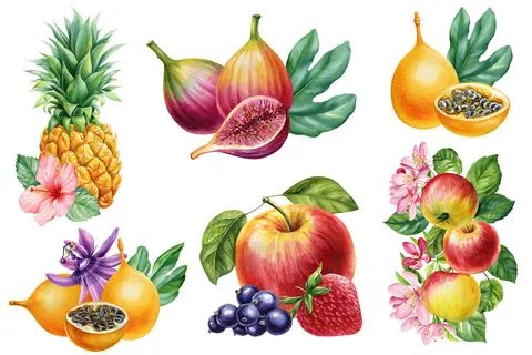 Set fruit, pineapple, Apple, berries, strawberry, fruit isolated, composition Stock Illustration