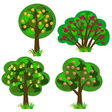 Set of fruit trees, isolated elements to design landscape scene Stock Illustration