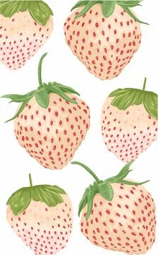 A set of fruit white strawberries red spots with leaves issolated on white  Stock Illustration