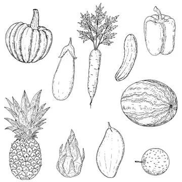 Set of fruits and vegetables. Vector cartoon illustration. Isolated. Stock Illustration