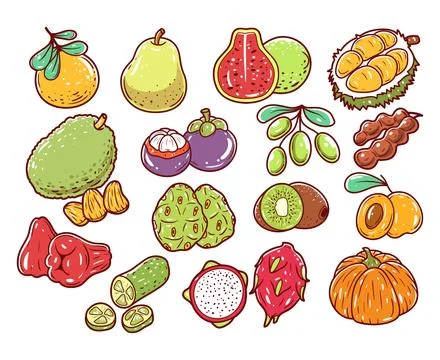 Set of fruits hand-drawn vector collection 库存插图