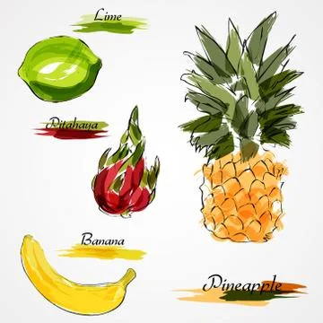 Set of fruits Illustrazione stock