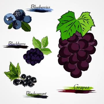 Set of fruits Stock Illustration